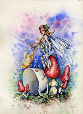 Fairy 34